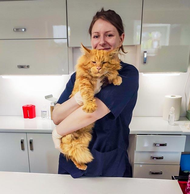 Agnieszka Zawidowska